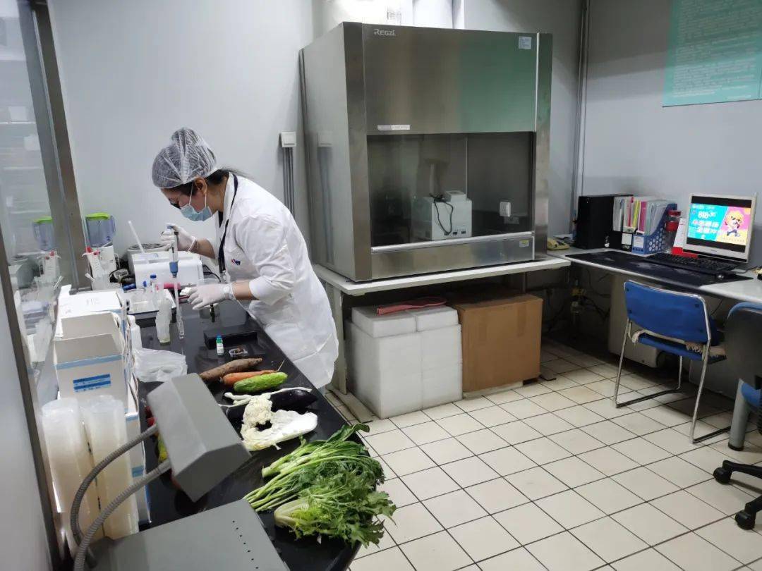 柳城食品检测实验室装修方案